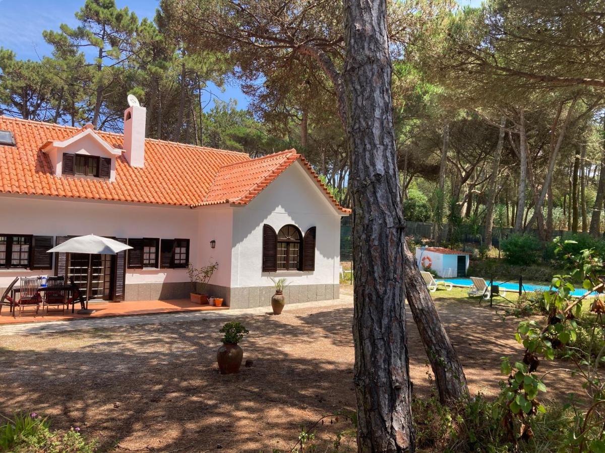Moradia No Pinhal Com Piscina - Espaco E Privacidade Para As Suas Ferias! Sintra Eksteriør bilde