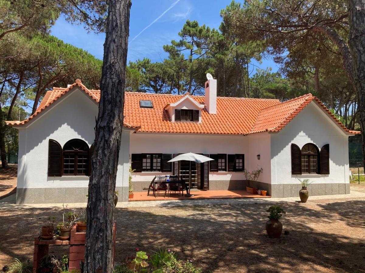 Moradia No Pinhal Com Piscina - Espaco E Privacidade Para As Suas Ferias! Sintra Eksteriør bilde