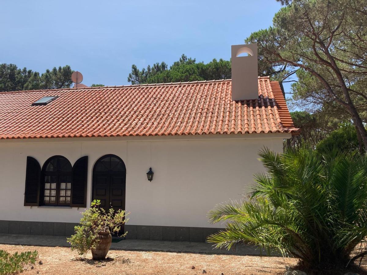 Moradia No Pinhal Com Piscina - Espaco E Privacidade Para As Suas Ferias! Sintra Eksteriør bilde